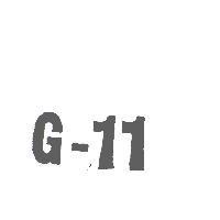 G – 11 奇士