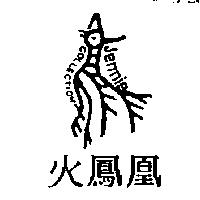 火鳳凰 JENNIE COLLECTION 及圖