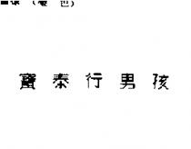 寶泰行男孩