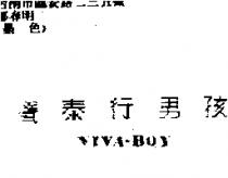 寶泰行男孩 VIVA-BOY