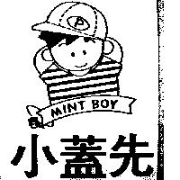 小蓋仙及圖 MINT BOY