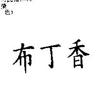 布丁香