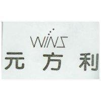 元方利 WINS