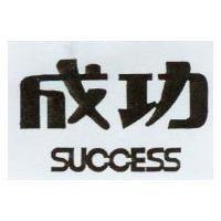 成功 success