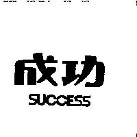 成功 success