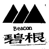 碧根及圖 BEACON