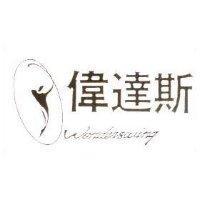 偉達斯 Wonderswing 及圖
