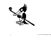 鳥圖