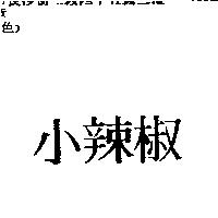 小辣椒