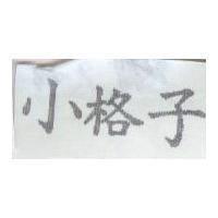 小格子