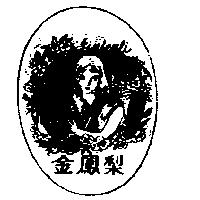 金鳳梨及圖 JIN FENLI