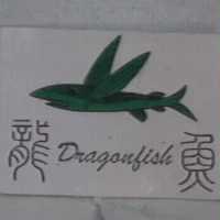 龍魚 Draganfish 及圖