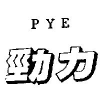 美督 NYD 及圖