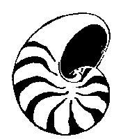 貝殼圖