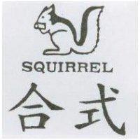 合式及圖 SQUIRREL