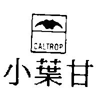 小葉甘及圖 CALTROP