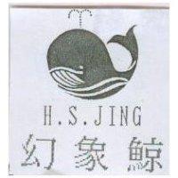 幻象鯨及圖 H.S.JING