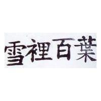 雪裡百葉
