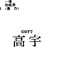 高宇 GOTT