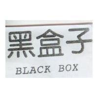 黑盒子 BLACK BOX