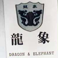 龍象及圖 DRAGON & ELEPHANT