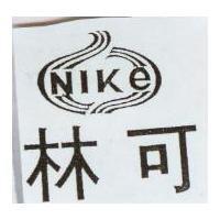 林可及圖 Nike