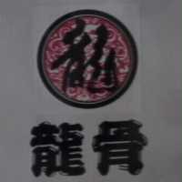 龍骨及龍圖