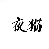 夜猫