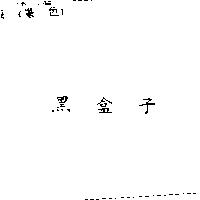 黑盒子