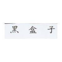 黑盒子