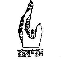 金手指及圖
