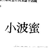 小波蜜