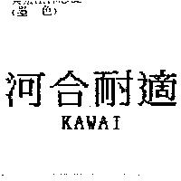 河合耐適 KAWAI