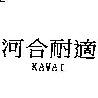 河合耐適 KAWAI