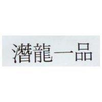 潛龍一品