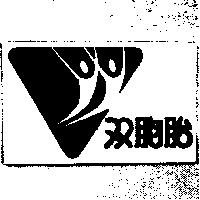 双胞胎及圖