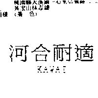 河合耐適 KAWAI