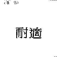 耐適