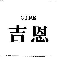 吉恩 GINE