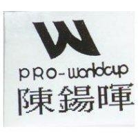 陳錫暉 PRO-WORLDCUP 及圖