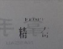 精奇 FLOPP