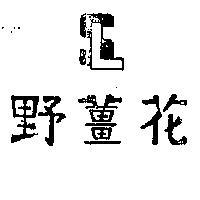 野薑花及圖