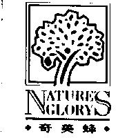 奇美蜂 NATURE'S GLORY & Device