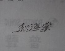 秋海棠