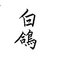 白鴿