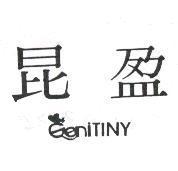 昆盈 GeniTiny 及圖