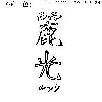 麗光ルック