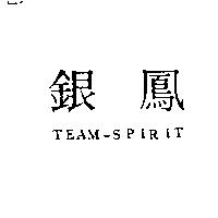 銀鳳 TEAM-SPIRIT
