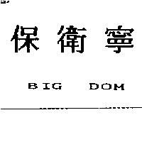 保衛寧 BIG DOM