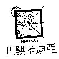 川騏米迪亞 MINI SA.t 及圖